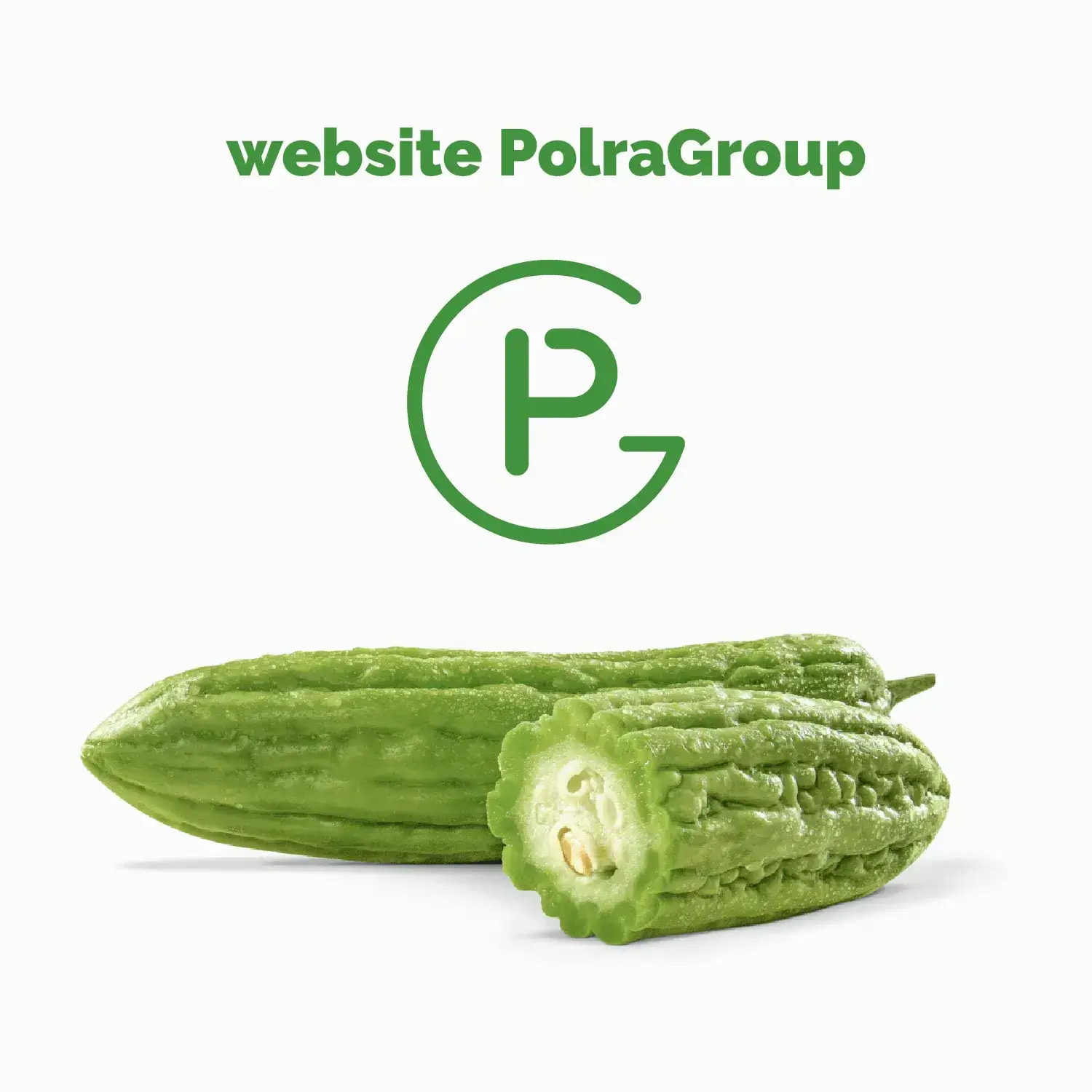 PolraGroup website