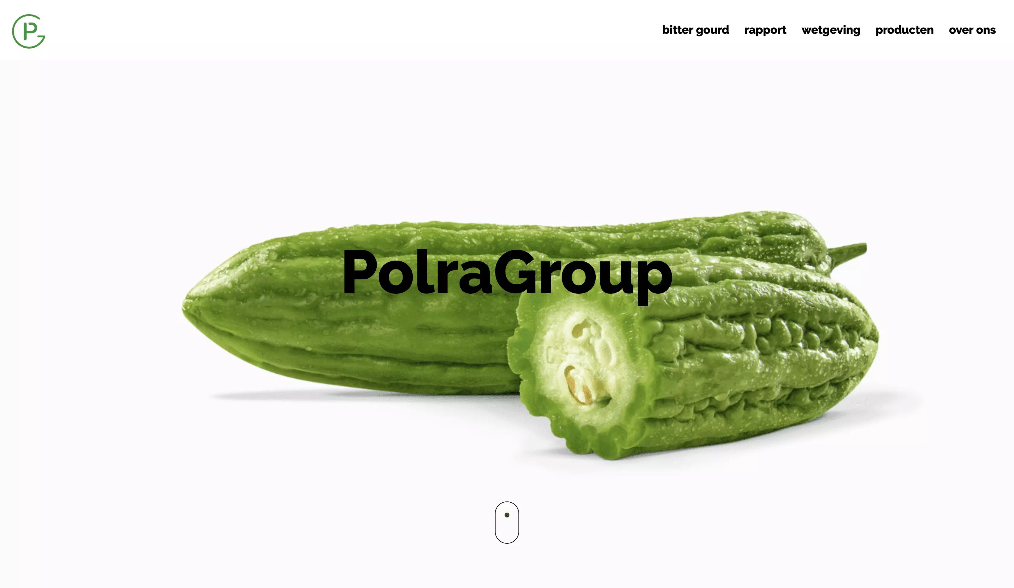 website polragroup